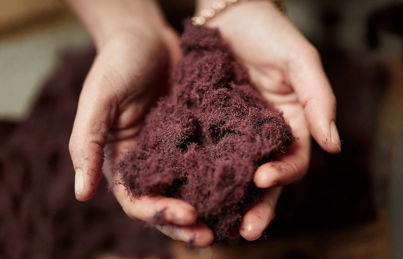 Origine marina e laboratorio PHYTOMER